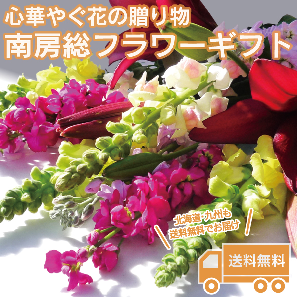 楽天市場 送料無料 南房総 フラワーギフト 花3 おおつの里花倶楽部 花倶楽部 ストック 金魚草 ゆり 南房総花 花の宅配 おおつの里花倶楽部 南房総アンテナショップ