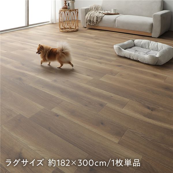 座布団立ち会い場 ラグサイズ 約182×300珊 1枚 単品 オーク材 日本製 抗菌 抗濾過性病原体 防菌類 防炎 床暖房装置相応う 熱っぽい引っ敷き相応う【代引不可】