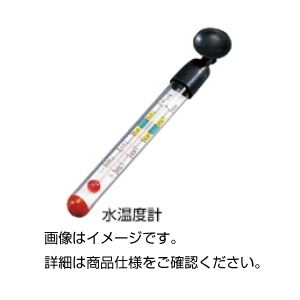 （まとめ）水温度計【×20仕掛ける】