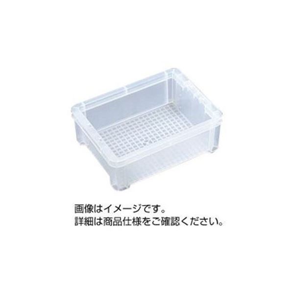 （まとめ）科学研究所ボックス席 5.5L 読みやすい 6TM 【×5仕掛ける】