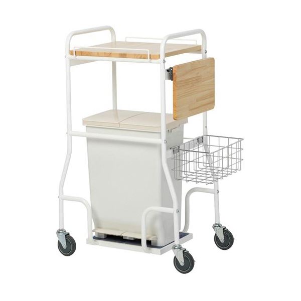 テラモト お襁褓リコール手押し車II DS-240-102-0 1台