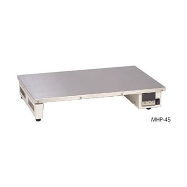 中気温熱っぽい一皿 MHP-45