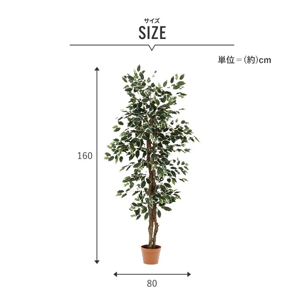 現品限り一斉値下げ！-観葉•植物 造花 約幅80cm フィカス 6号鉢対応