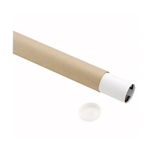 (まとめ) TANOSEE 製図用紙管(ポリ蓋付き) A1(650mm) 1箱(9本)