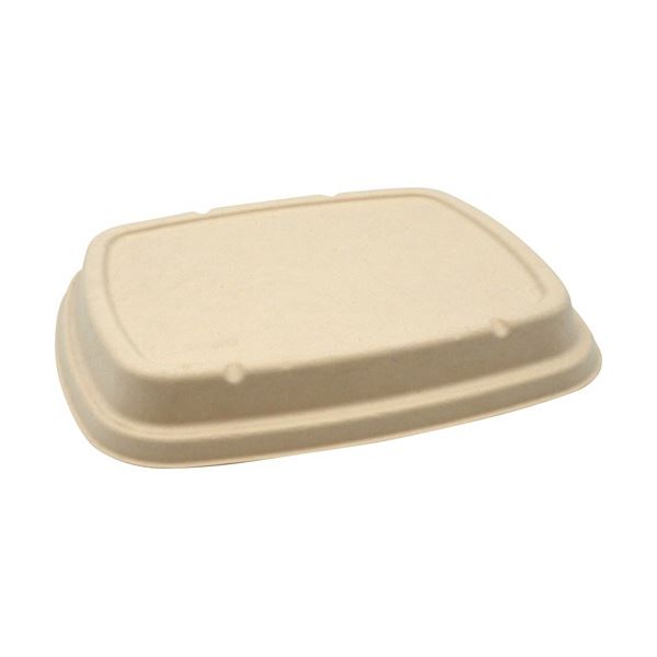 (まとめ) パックスタイル BB竹バガス弁当 N24-20F 共蓋 245×205×高さ18mm 1パック(50枚) 【×3セット】 6,078円