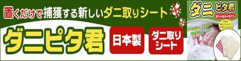 楽天市場】日東電工 ニトフロン粘着テープ No.903UL 0.13mm×100mm×10m