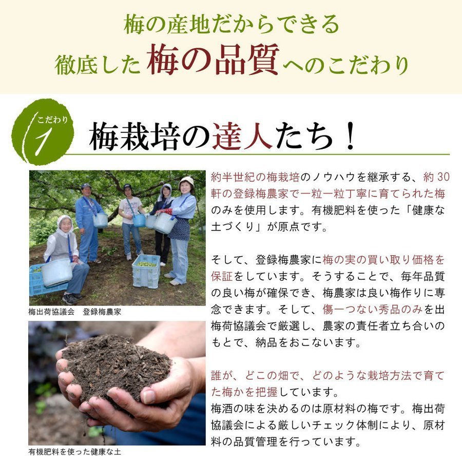 58％以上節約 熟成梅酒 ゆめひびき 720ml 1ケース 12本入 梅酒 鶯宿梅 お得なケース販売 ギフト プレゼント おおやま夢工房 熨斗  ラッピング不可 fucoa.cl