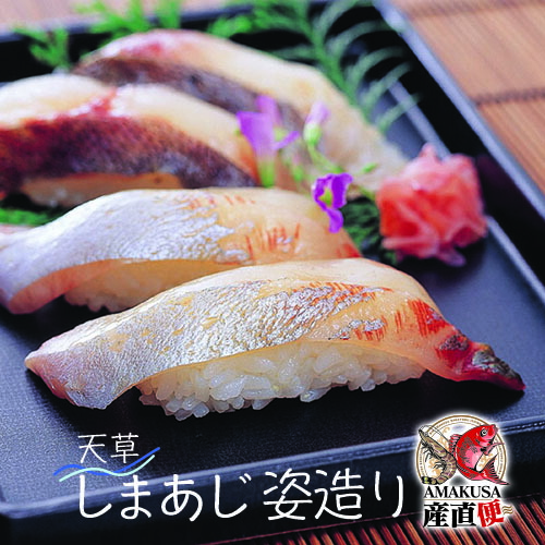 深川水産 送料無料 最高級の鯵 シマアジ姿造り1尾 縞鯵 しまあじ 化粧袋 尾頭付 海鮮ギフト 贈答 敬老の日 Novix Com