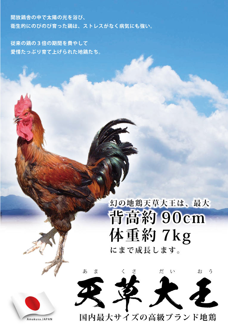 御中元 q 食べ物 ギフト 肉 高級ブランド地鶏天草大王丸ごと贅沢 種セット送料無料 モモ肉 ムネ肉 ササミ 手羽先 手羽元 モモ肉たたき ムネ肉たたき 地鶏から揚げ お取り寄せグルメ お中元 Sermus Es