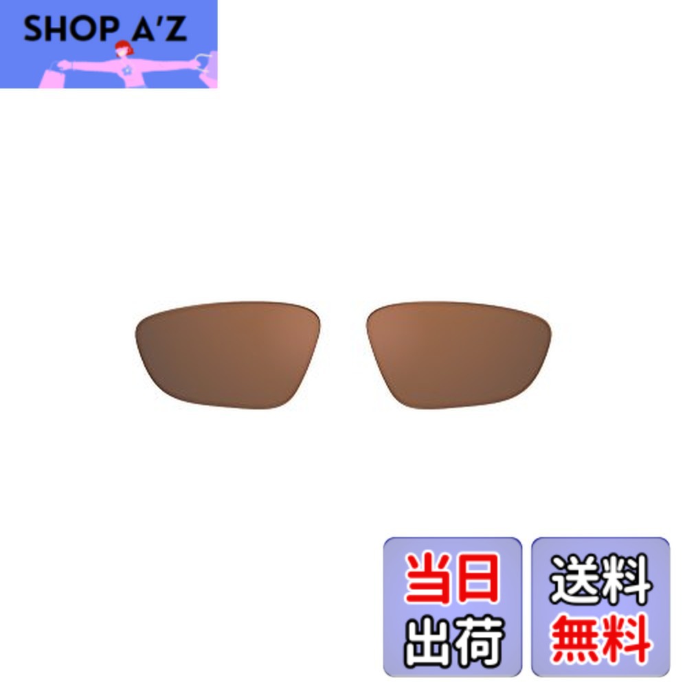 【送料無料】ルディプロジェクト(RUDYPROJECT) アウトドア サングラス 登山 ストラップ MTB ロード バイク GUARDYAN ガーディアン 交換 レンズ ハイアルティチュード LE1698