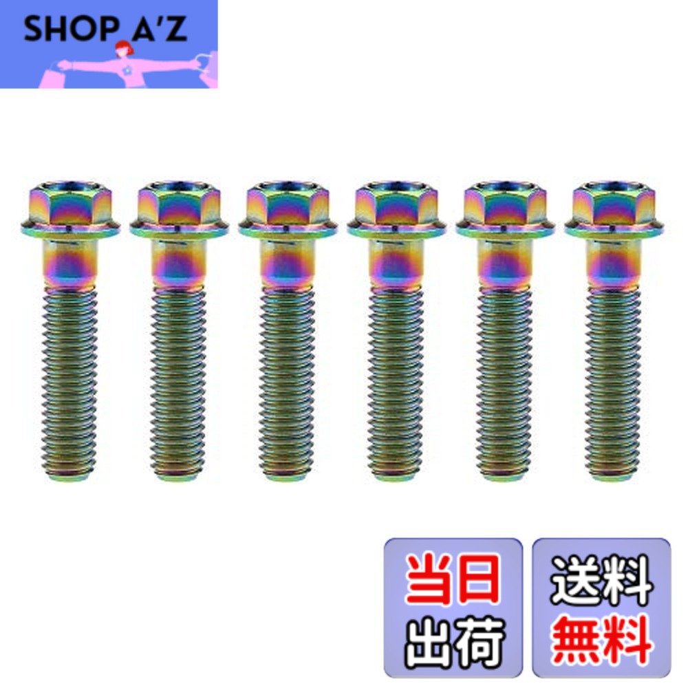 【送料無料】Ruifu M8x15 20 25 30 35 40 45 50 55 60 65mm オートバイ 小さい頭フランジ 六角ボルト ピッチ 1.25mm 6個入り