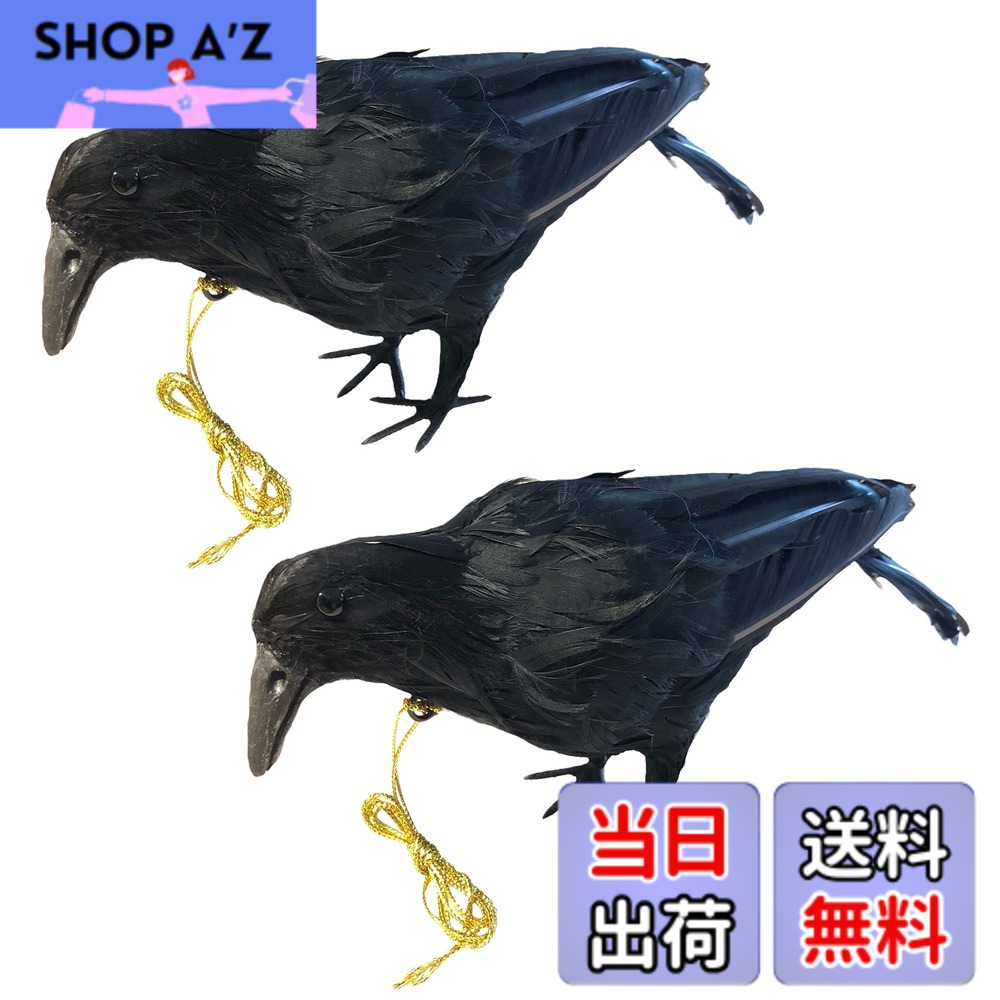 【送料無料】ONESORA カラスよけ 鳥よけグッズ 本物そっくり リアル羽毛カラス 【小振りサイズ 2羽】 ぶら下げて吊るすだけ カラス撃退