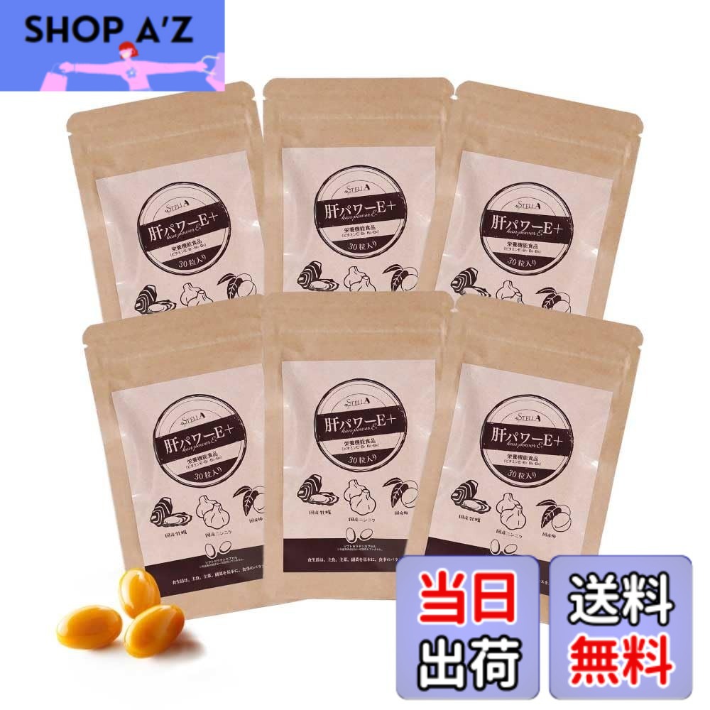 【貨物輸送無料】【まとめてお得！】中心柱漢方 肝力強さE+（30粒x6袋）
