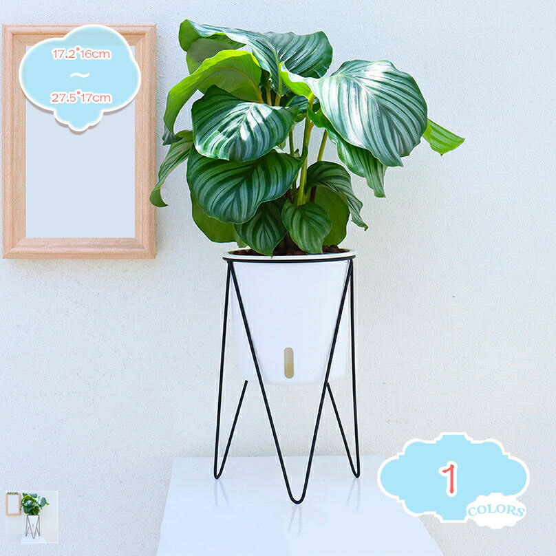 1000円OFFクーポン ポット スタンド フラワースタンド 鉢付き 観葉植物 アイアン スチール 鉢置き 鉢カバー タンド 植木鉢スタンド 丸 花台 植物棚 おしゃれ 北欧 花 ガーデニング 屋外 プラスチック 室内 玄関 ギフト shopcp|CPショップ