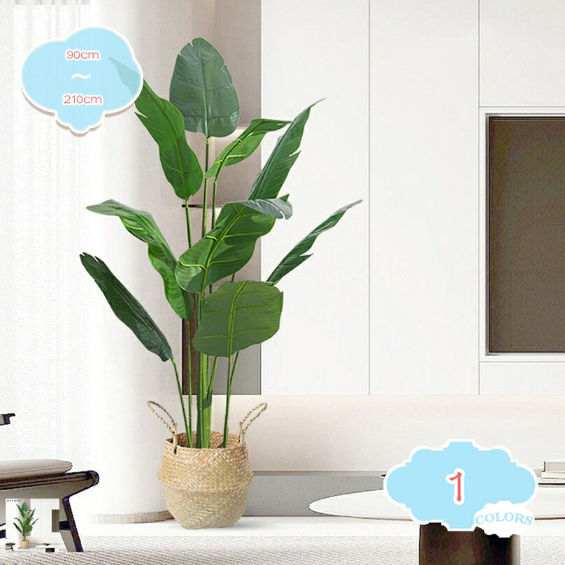 500円OFFクーポン券 フェイクグリーン 鉢付き添い人 人工観葉草木 まがい物草木 今めかしい 鉢植え 執務室 リビング 臥し所 部屋の入り口 歩廊 お取りつくろう飾り気の無い 引き越す祝賀会 取り計らういらず 水やり不必要 老人ホーム 泊まり 飾りつけ 差し上げ物 向け 華燭の典 母の日 父の日 shopcp
