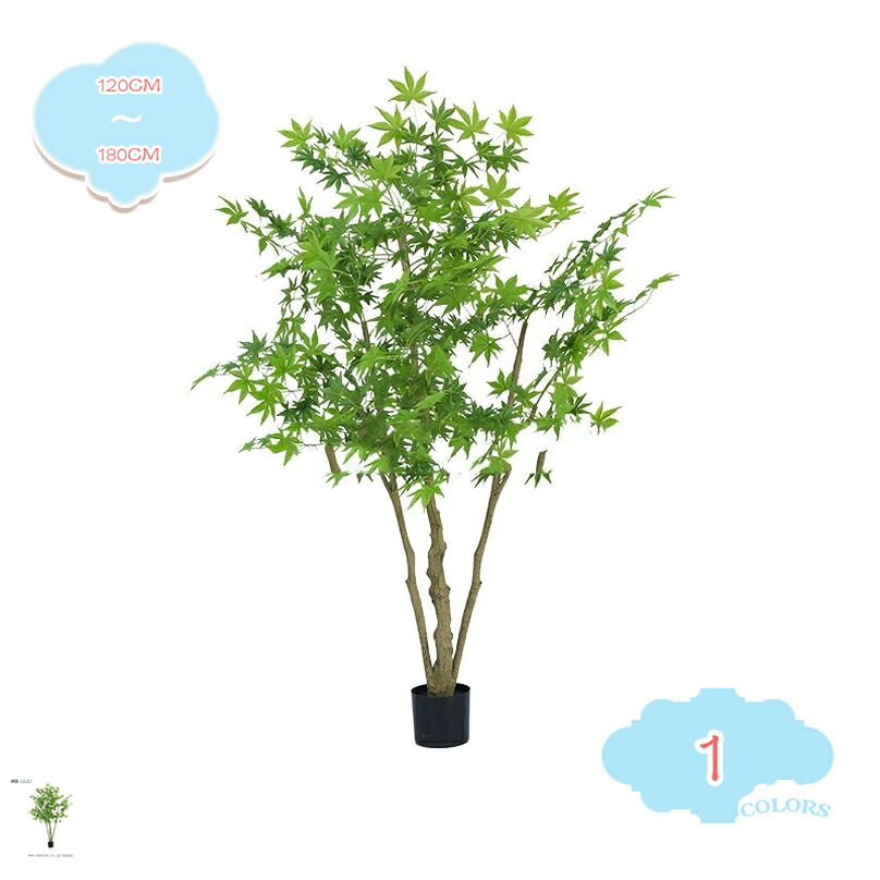 1000円OFF引き換え証 楓の木 フェイクプランツ 大型 鉢植え 即物的 枯れない 北欧風 室内装飾 室内 バス発着場 喫茶店 執務室 リビング 商業主義あき場所 取りつくろう飾り気の無い 水やり不必要 永久不変的なかざり付ける 立ち会い場照明ランプ 観葉草木 shopcp