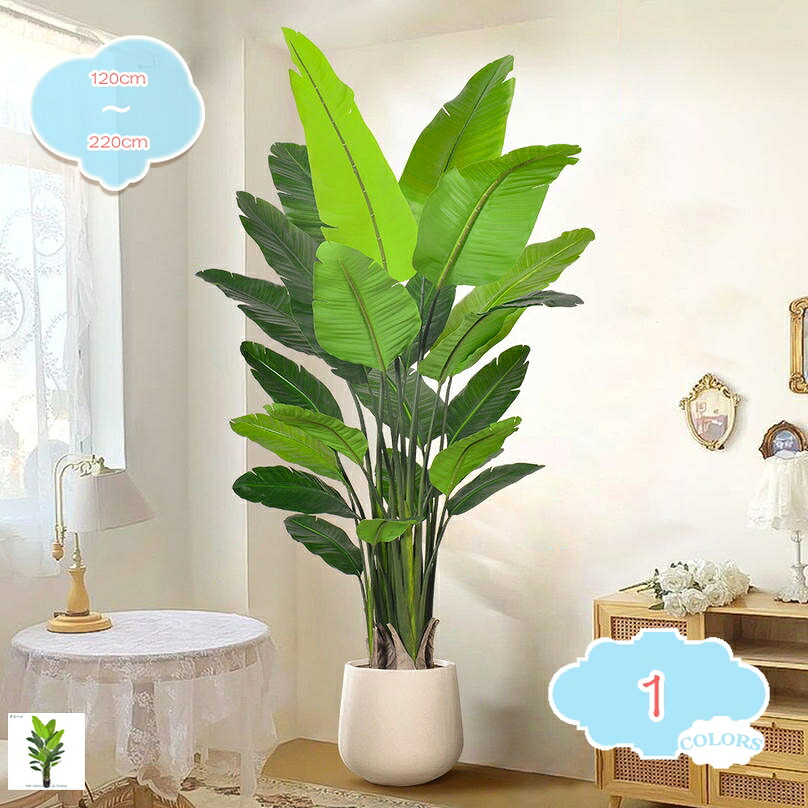1000円OFFクーポン券 フェイクグリーン 観葉草木 ストレリチア・レギネ 大型 鉢植え 水やり不必要 虫害の気づかわしさなし 本物そっくり 人工観葉草木 馬鹿でかい 御祭り 本当の 造花 室内装飾 リビング 人工あずま屋 オシャレ 北欧 消臭 抗菌 開店祝賀会 開業祝賀会 営造祝賀会 shopcp