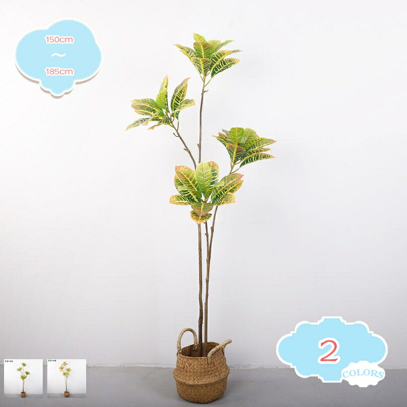 1000円OFFクーポン ウンベラータ フェイクグリーン 観葉植物 大型 室内用 造花 リアル質感 観葉樹 水やり不要 害虫駆除不要 抗菌 室内 ホテル ロビー 玄関 リビング 人工観葉樹 インテリアグリーン 雰囲気作り DIY ギフト 誕生日 結婚式 店舗装飾用 shopcp|CPショップ