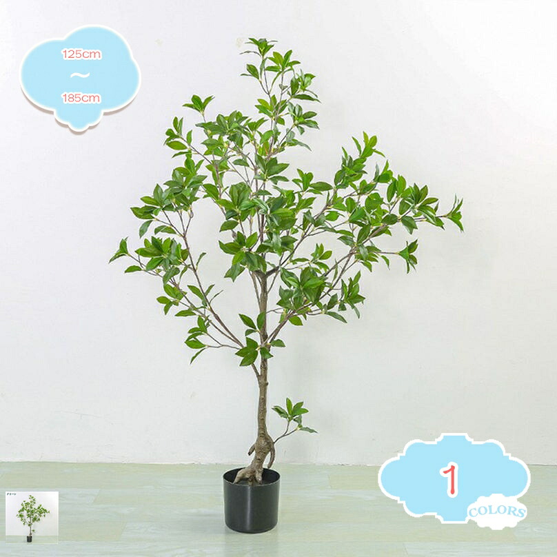 取り計らうがない フェイクグリーン 人工観葉草木 観葉樹 馬酔木/アセビ 鉢植え 造花 観葉草木 まがい物 仕合わせの木 金のなる木 今めかしいな室内装飾 枯れない 水やり不必要 部屋の入り口 執務室 老人ホーム 泊まり 差し上げ物 華燭の典祝賀会 営造祝賀会 引き越す祝賀会 shopcp