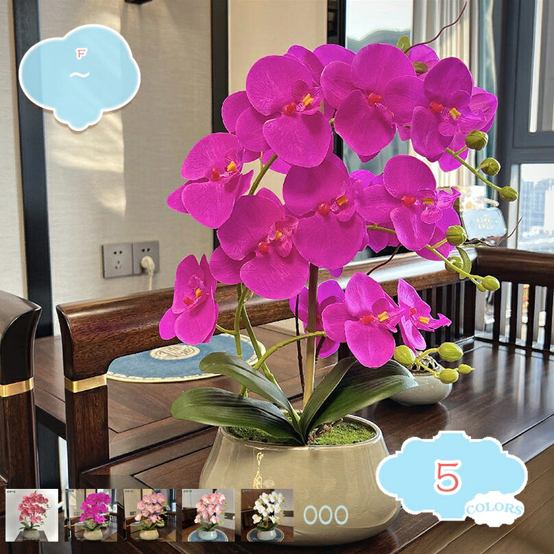 1000円OFFクーポン 胡蝶蘭 造花 フェイクグリーン 卓上 人工観葉植物 玄関飾り 店舗 造花 インテリア 店舗装飾 ディスプレイ用 事務所 玄関の装飾 インテリアグリーン 鉢植え 人工盆栽 お手入れやすい 水やり不要 ギフト向け 新築祝い shopcp|CPショップ