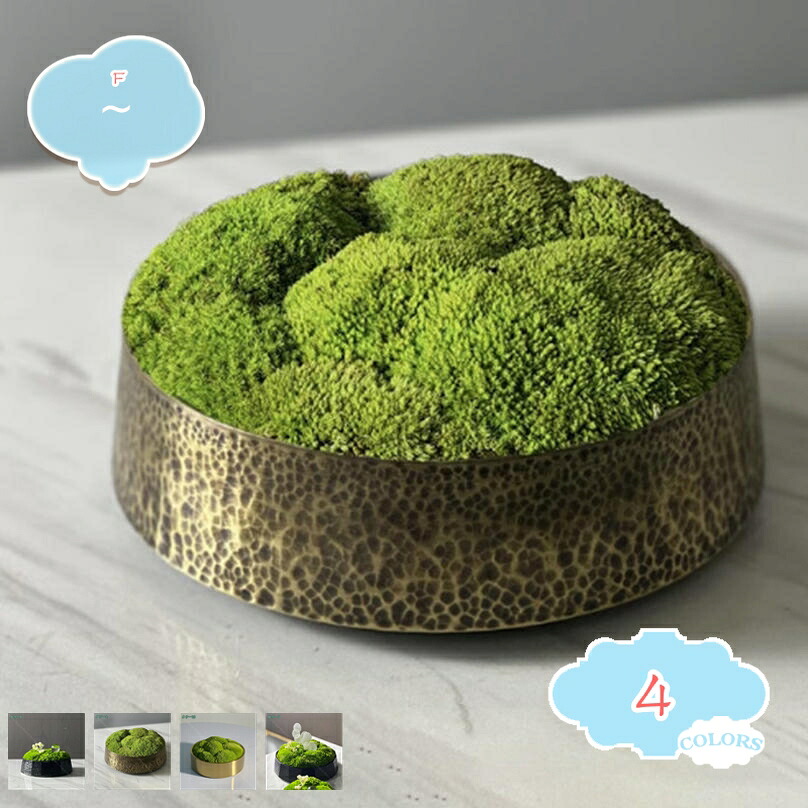 1000円OFFクーポン フェイクモス フェイクグリーン 卓上 人工苔 人工観葉植物 おしゃれ インテリア雑貨 世話いらず 水やり不要 オフィス ホームデコレーション 結婚式 新築祝い 長持ち 耐久性 人工植物 人工盆栽 プレゼント ギフト shopcp|CPショップ