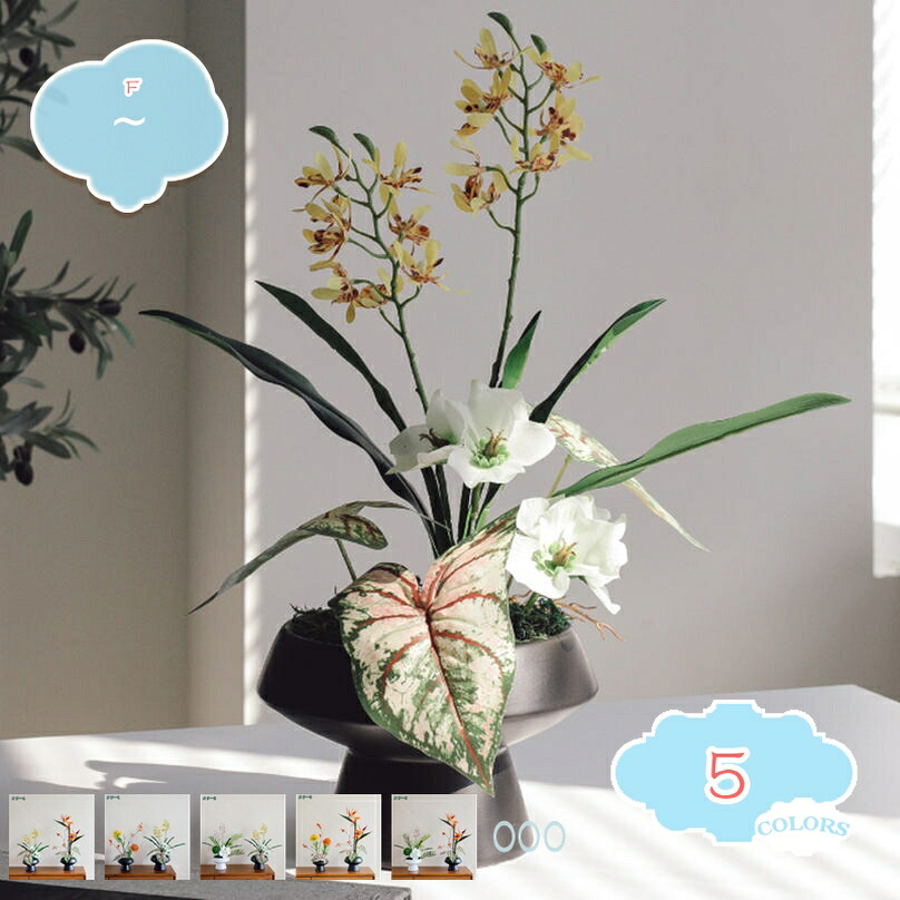 2000円OFFクーポン フェイクグリーン 人工観葉植物 インテリア 鉢植え 卓上 人工盆栽 テーブルの上に飾り テレビボード 棚の上 小型 机の装飾 デコレーション 事務所 玄関の装飾 置物 季節飾り 家の装飾 撮影 オフィス装飾 フェイクグリーン shopcp｜CPショップ