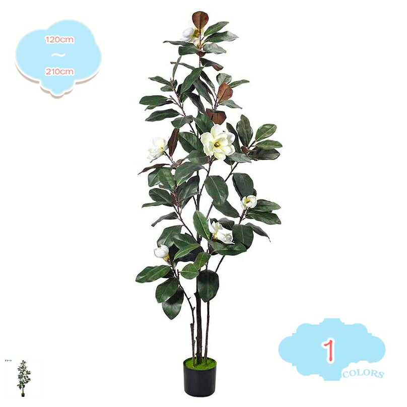 2000円OFFクーポン 白木蓮の木 フェイクグリーン 大型 人工観葉植物 人工観葉樹 和風 緑 人工植物 人工樹木 盆栽 インテリアグリーン 鉢植え 室内室外用 造花 玄関 オフィス 開店祝い お手入れ簡単 水やり不要 虫害の心配なし プレゼント おしゃれ インテリア飾り