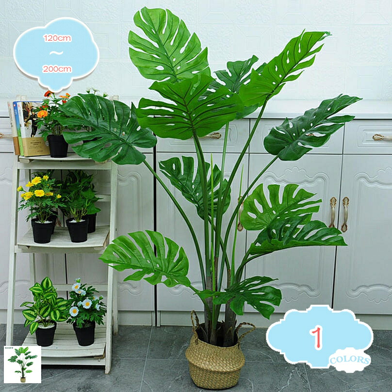 1000円OFFクーポン フェイクグリーン 人工観葉植物 モンステラ 大型 インテリア おしゃれ 常緑樹 オシャレ 現代的な装飾 庭作り 風景園芸 鉢植え 窓辺 自然の雰囲気 庭作り 風景園芸 水やり不要 簡単世話いらず プレゼント フェイクグリーン shopcp｜CPショップ 16,276円