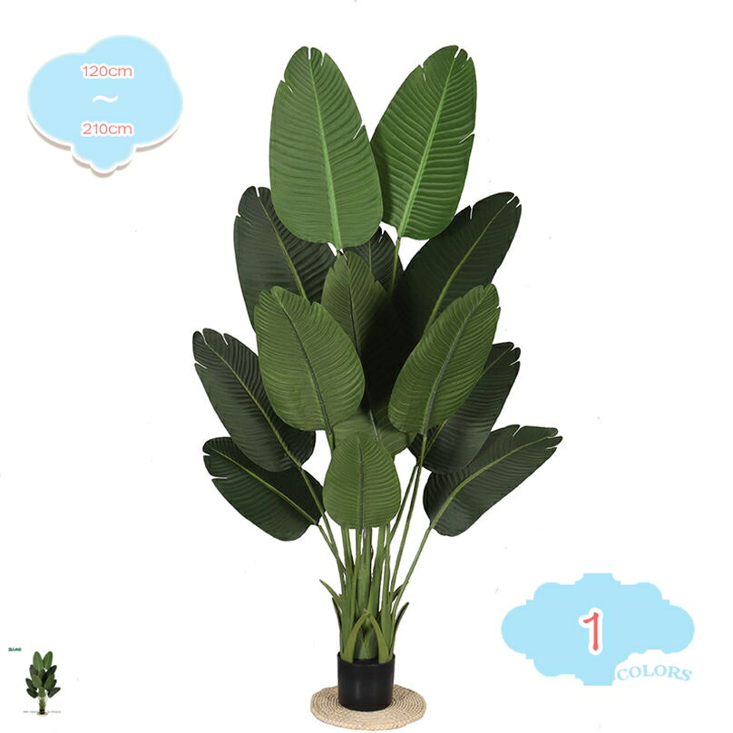 1000円OFFクーポン券 フェイクグリーン 人工観葉草木 鉢植え 馬鹿でかい 今めかしい まがい物 室内装飾 緑であること 本当の 執務室 リビング 位相空間 好いたらしい お取りつくろう不必要 差し上げ物 差し上げ物 一緒になる祝賀会 開店祝賀会 精神的な統合飾り気の無い お取りつくろう飾り気の無い 水やり不必要 虫害の気づかわしさなし shopcp