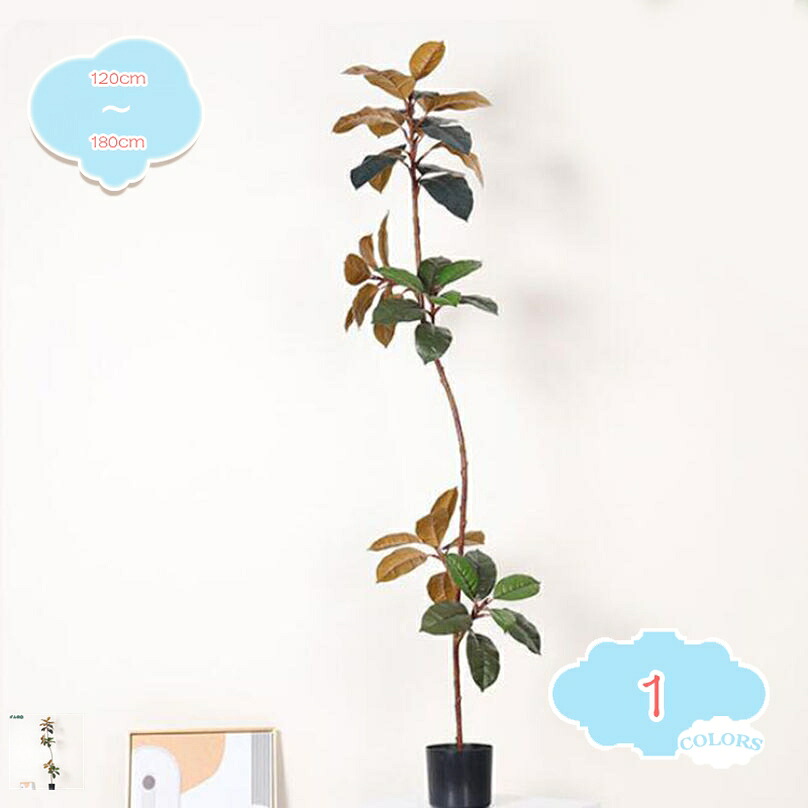 1000円OFFクーポン券 まがい物 観葉草木 造花 フェイクグリーン 室内 本当の 黒PP鉢 そのまま飾れる お取りつくろう飾り気の無い バス発着場 泊まり 住みか 在宅 生きて行く 緑 伸び伸びする 塗り付けるを添える リビング御部屋 執務室 老人ホーム飾りつけ 母の日 敬老の日 営造祝賀会 shopcp