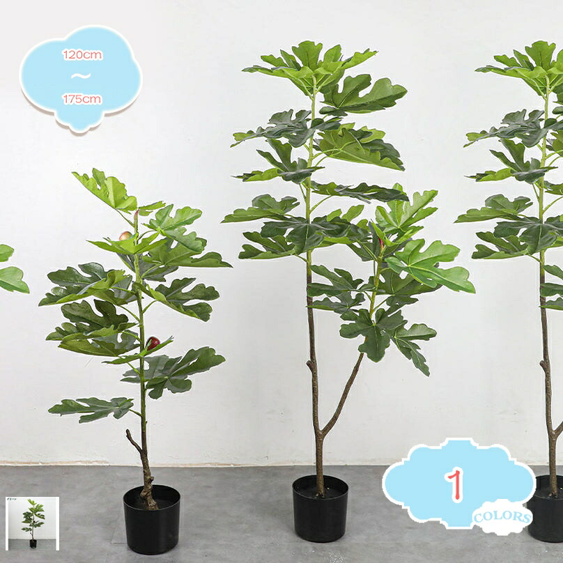 2000円OFFクーポン 人工植物 造花 フェイクグリーン おしゃれ インテリア 大型 防汚 水やり・お手入れ不要 イヌビワ 本物そっくり 人工観葉植物 リアル 造花 リビング オシャレ 北欧 鉢植え 玄関 お祝い 開店祝い 開業祝い 贈り物 ギフト プレゼント 幸運の木｜CPショップ