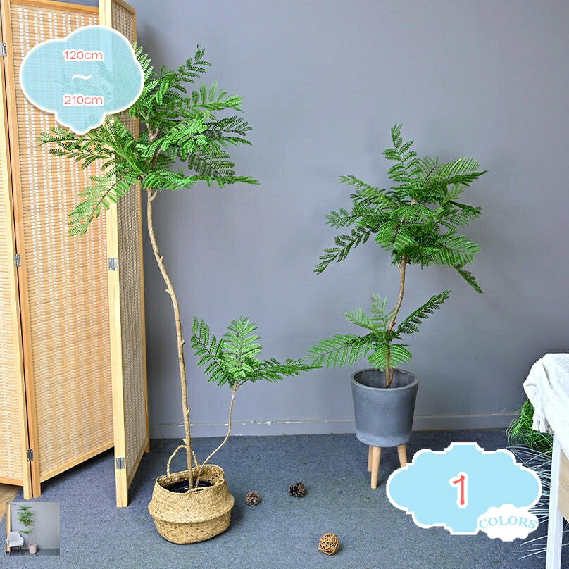 2000円OFFクーポン フェイクグリーン 常緑樹 ジャカランダ 観覧植物 人工観葉樹 観葉植物 造花 シンプル オフィス 室内 インテリア 大型 おしゃれ 人工 お祝い 父の日 水やり不要 お手入れ不要 リビング 玄関 引越し祝い 花粉 虫害の心配なし 人工観葉植物 造花飾り｜CPショップ