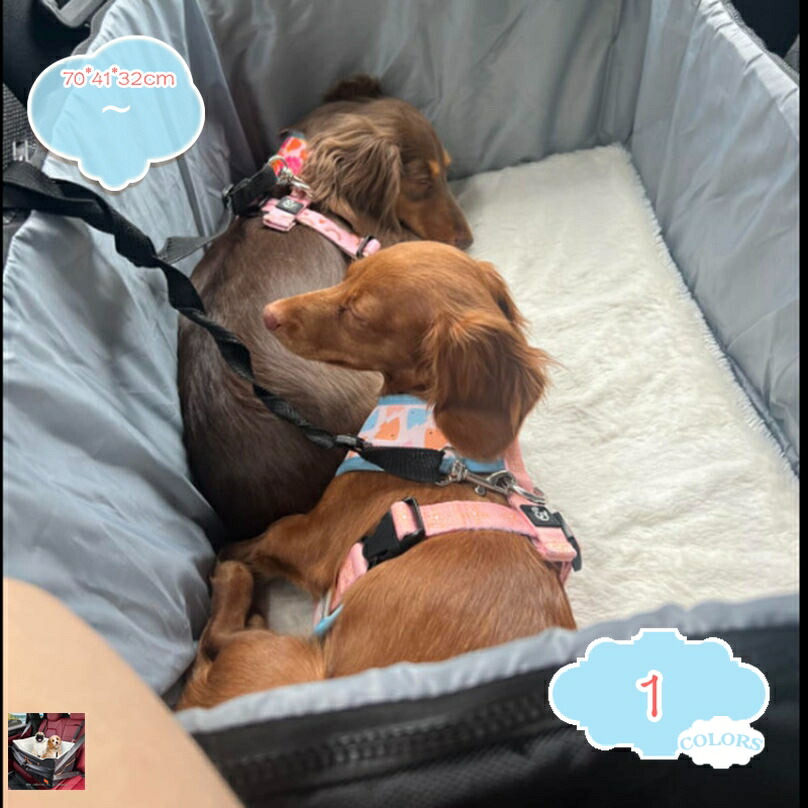 SNSで話題 最短翌日お届け MOMP4SJ2BDB [MOMP4SJ2BDB]