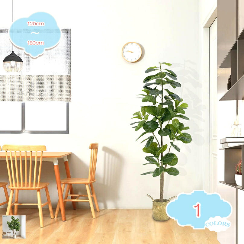 1000円OFFクーポン 大型 人工植物 フェイクグリーン お祝い プレゼント ギフト お世話のいらない 癒しの グリーン ウンベラータ インテリア 人工観葉植物 観葉樹 マンション リビング オフィス 大きい シンプル 移転祝い 新築祝い 開店祝い shopcp|CPショップ