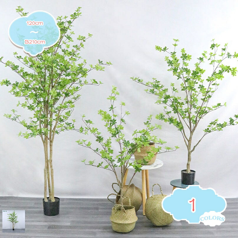 1000円OFFクーポン ドウダンツツジ 枝の角度調整可能 人工観葉植物 開運 幸福の木 観賞植物 造花 本物そっくり シンプル オフィス 室内 屋外 鉢植え 常緑樹 常緑高木 花粉の心配なし 虫の心配なし 開店祝い 新築祝い 手入れ不要 人工植物 枯れない shopcp|CPショップ