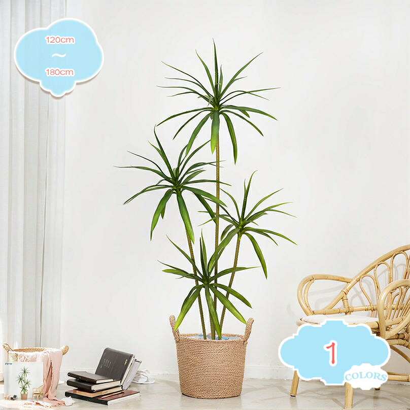 1000円OFFクーポン フェイクグリーン アガベ 多肉植物 本物そっくり 大型 リアル 造花 お手入れ不要 模様替え モダン インテリア おしゃれ 小さい 消臭 抗菌 オシャレ 引っ越し祝い 開店祝い 人工観葉植物 年末年始デコレーション 玄関 リビング用 shopcp｜CPショップ 11,161円