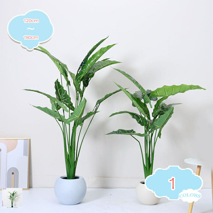クワズイモ フェイクグリーン 観葉植物 フェイク 人工観葉植物 大型 消臭 抗菌 造花 ホテル インテリア リアル おしゃれ お祝い 樹 木 室内 店舗 エントランス 玄関 リビング オフィス 部屋 シンプル 観葉樹 開店祝い 引越し祝い shopcp