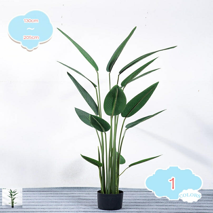 1000円OFFクーポン フェイクグリーン 人工観葉植物 ストレリチア・レギネ 盆栽 水やり不要 枯れない 簡単世話いらず 常緑樹 人工樹木 観葉樹 インテリアグリーン 大型 造花 屋内 オフィス 鉢植え お祝い用 植木 人工 幸福の木 デコレーション 飾り用 shopcp