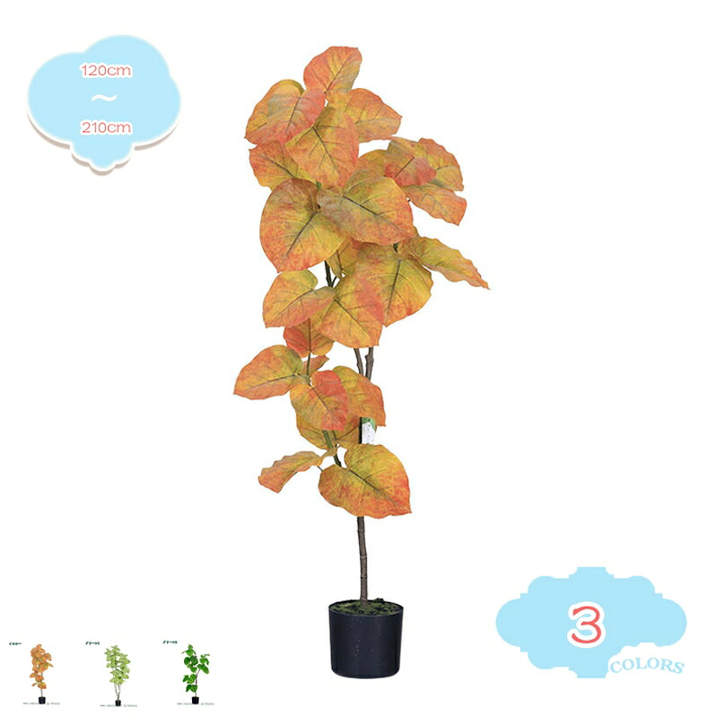 1000円OFFクーポン ウンベラータ 人工観葉植物 本物そっくり 室内 オフィス 大型 お手入れ簡単 水やり不要 フェイクグリーン 虫害の心配なし 引越し祝い 新築祝い ギフト プレゼント 自分用 風水 インテリアグリーン おしゃれ 造花 観葉樹 ホーム 家庭 デコレーション|CPショップ