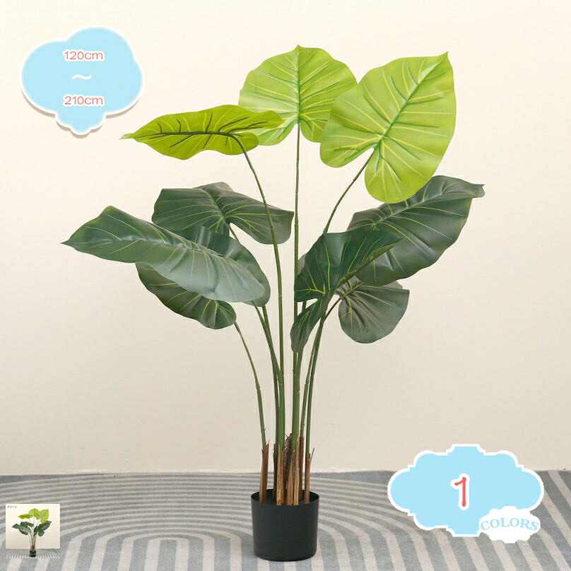 500円OFF引き換え証 クワズイモ フェイクグリーン 大型 鉢植え 即物的 気が大きい 人工あずま屋 エントランス状態 バス発着場 お取りつくろう不必要 執務室 自然的 人工観葉草木 造花 室内 開店祝賀会 営造祝賀会 風水 住み替え祝賀会 差し上げ物 室内装飾緑であること shopcp