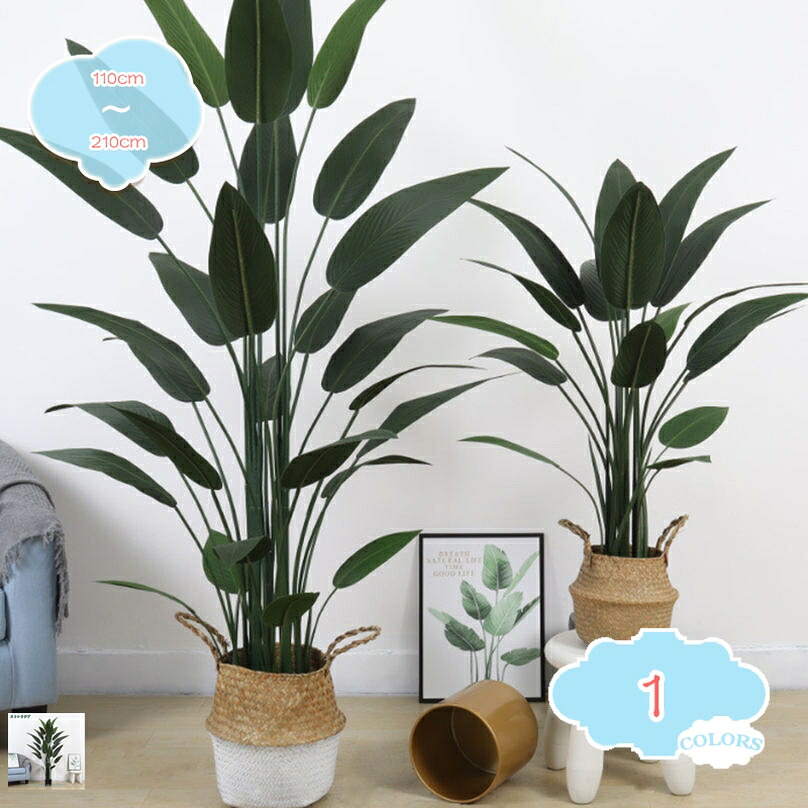 2000円OFFクーポン フェイクグリーン インテリアグリーン 人工 観葉植物 フェイク 造花 インテリア 新築祝い 開店祝い 新年 クリスマス オフィス 店 おしゃれ プレゼント ギフト 贈り物 玄関 風水 贈答 ナチュラル 置物 アジアン雑貨 shopcp|CPショップ