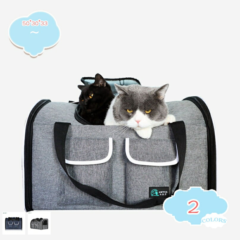 500円OFFクーポン アウトドア ペットリュック 小型犬 リュック 犬 猫 小型ペット 猫 きゃりーバッグ 犬 猫用 ペット キャリー キャリーリュック 可愛い 10kg耐荷重 折りたたみ 底板付き メッシュ窓 通気性 旅行 お出かけ 散歩 shopcp｜CPショップ