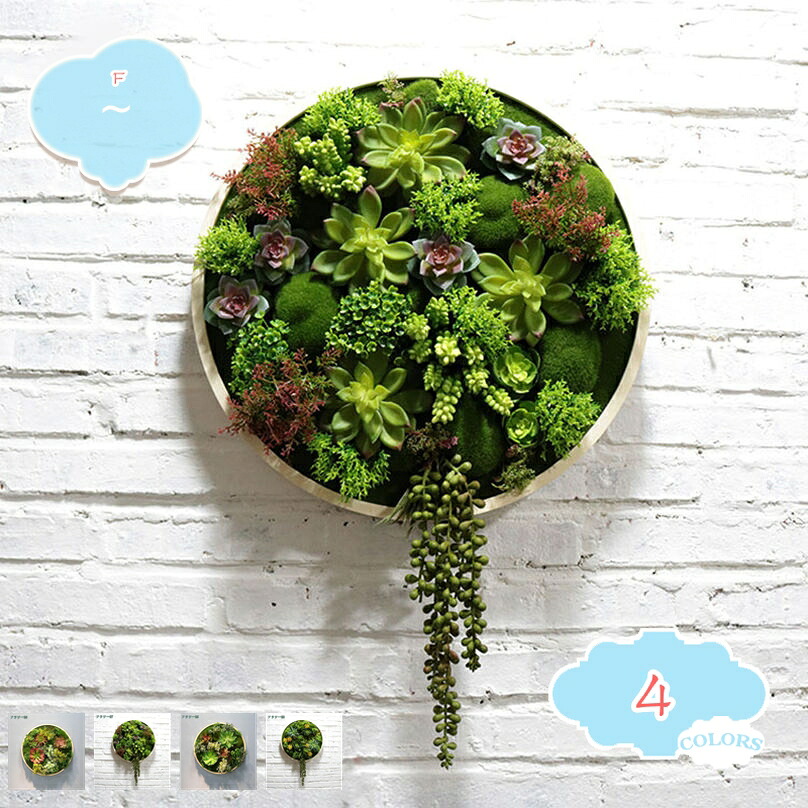 1000円OFFクーポン ウォールグリーン フェイクグリーン 壁掛け 人工観葉植物 北欧風 オシャレ かわいい ディスプレイ インテリア装飾 ミニサボテン 壁飾り 人工観葉植物 緑 植物 サボテン 室内 ホーム 庭 トイレ オフィス フェイクグリーン 壁掛け shopcp｜CPショップ