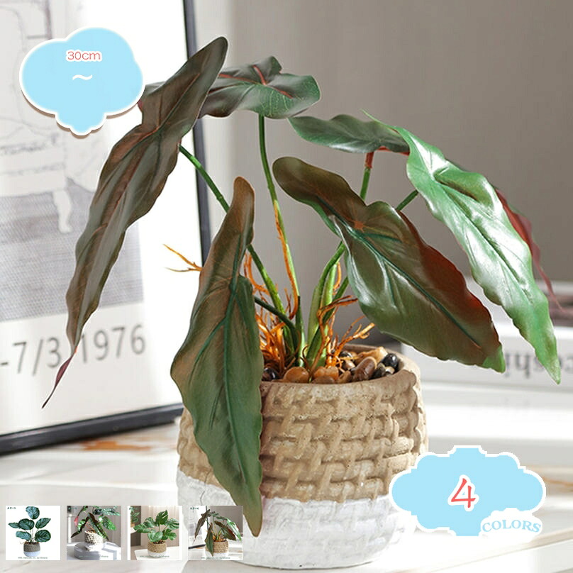 1000円OFFクーポン フェイクグリーン 机上 おしゃれ 人工観葉植物 玄関 リビング 室内 インテリア 部屋 オフィス お祝い 新築祝い 開店祝い 開業祝い 誕生日 イベント 鉢植え ボタニカル フェイクグリーン ナチュラル 盆栽植物 トロピカル植物 shopcp|CPショップ