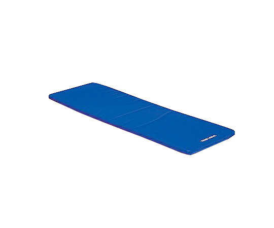 店内全品ポイント5倍★要エントリー★エクササイズマット H−9012Bブルー|Shop de clinic店