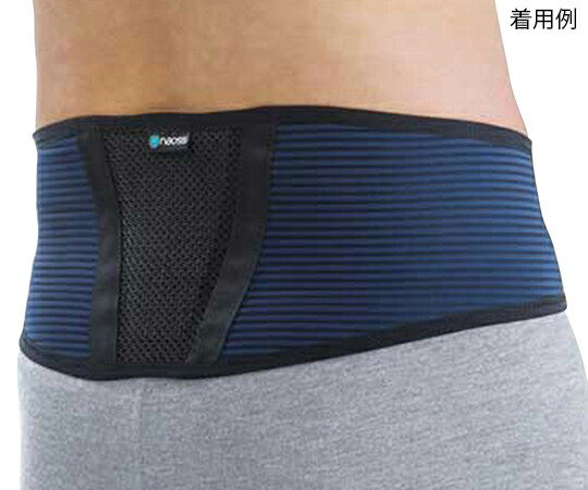 【おまとめお得な２個セット】丸光産業 tamoto バックサポートベルト M 202560