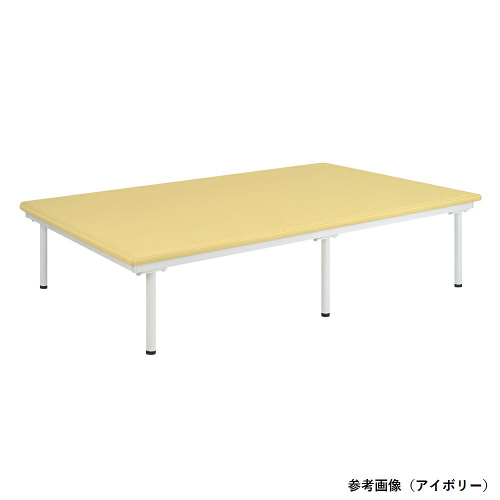 SD訓練台（TB-1486）ライトブルー 高田ベッド