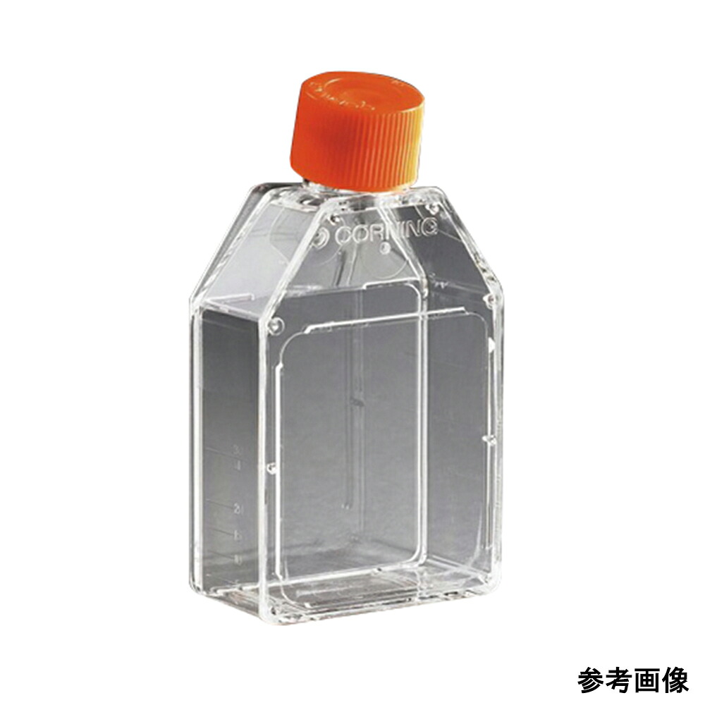 独居室育みそだてる用瓶（石炭酸旗がしら/カントネック）75糎2 430725