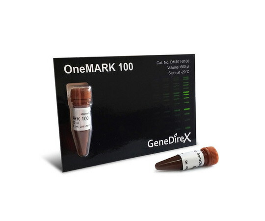 【おまとめお得な２個書き割り】デオキシリボ核酸灯し火泳動目じるし OneMARK 100 DM101-0100