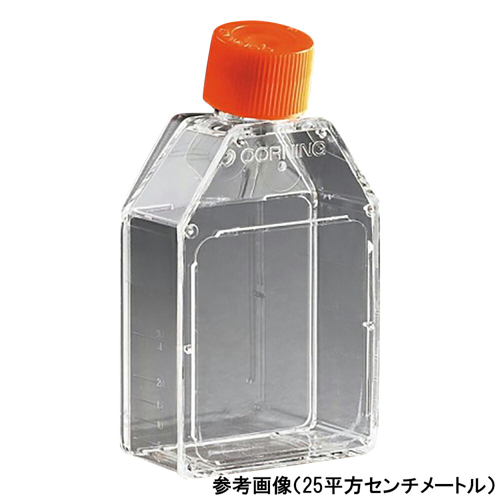 独居室育みそだてる用瓶（プラグシールキャップ/カントネック）75糎2 430720